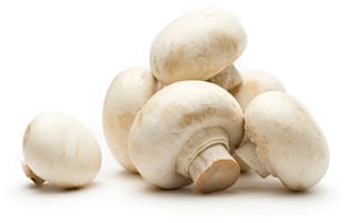 Cogumelos biotech